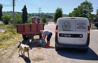 “Can dostlarımız emin ellerde”