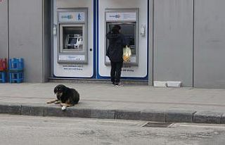 Zonguldak’ta sessizlik hakim