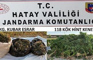 Samandağ’da jandarmadan uyuşturucu operasyonu