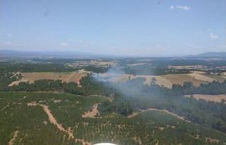 Çanakkale’de orman yangını