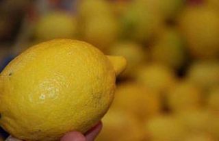 Soğuk algınlığına karşı limon