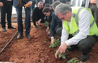 Şanlıurfa’da çiftçilere “suluk” desteği