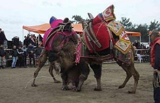 Burhaniye’de festival hazırlıkları tamamlandı