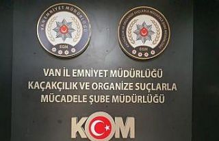 Van’da gümrük kaçakçılığı operasyonu