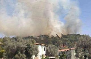 Fethiye’de orman yangını