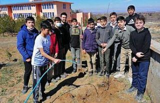 Öğrenciler okullarının bahçesini ağaçlandırdı