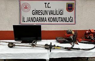 Giresun’da hırsızlık vakaları