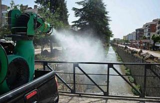 Bozüyük Belediyesi’nden haşere mücadelesi