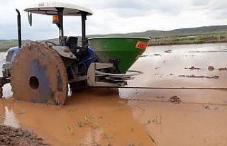 Sungurlu’da çeltik ekimi başladı