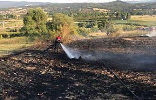 Çanakkale’de anız yangını