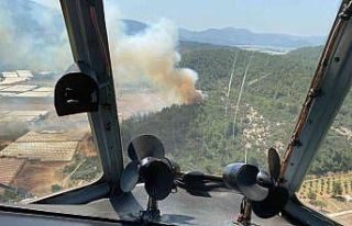 İzmir’de sera yangını