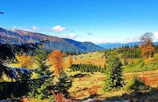 Artvin’den sonbahar manzaraları