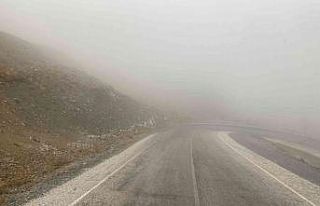 Bahçesaray’da kar yağışı