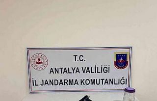 Jandarmadan uyuşturucu baskını