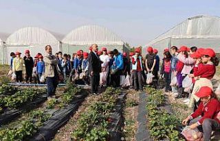 "Öğrenciler tarımı çok sevdi"