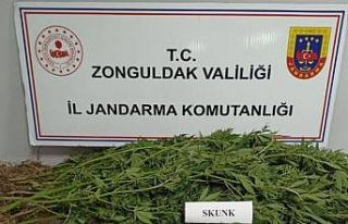 Zonguldak’ta uyuşturucu operasyonu