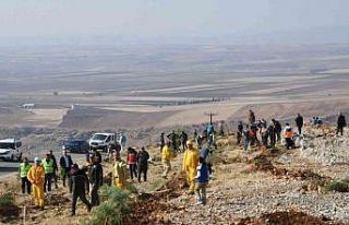 Adıyaman’da, fidanlar toprakla buluşturuldu