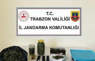 Jandarma’dan uyuşturucu operasyonu