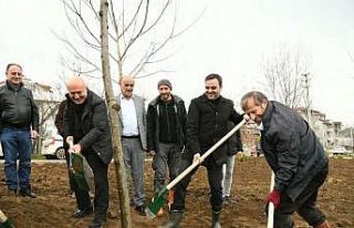 Başiskele’de fidanlar toprakla buluştu