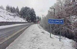 Tunceli ‘beyaz’ güne uyandı