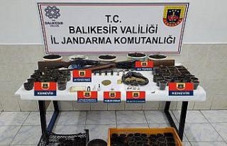 Balıkesir’de jandarmadan uyuşturucu operasyonu