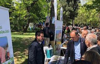 Gemlik’in tohumları Çanakkale’de