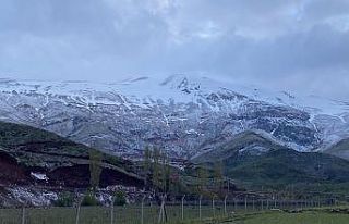 Ulubaba Dağı beyaza büründü