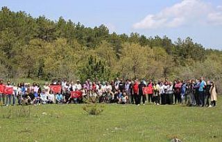 Gençler doğa yürüyüşünde buluştu