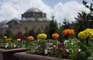 Kars Belediyesi’nden çevre düzenlemesi