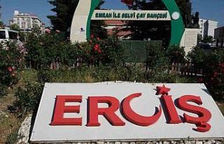 Erciş’te il olma heyecanı