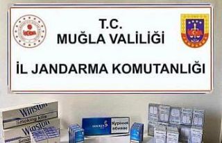 Muğla’da kaçak sigara operasyonu