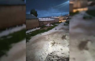 Özalp ilçesinde dolu yağışı