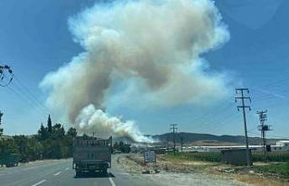 Kahramanmaraş’ta orman yangını