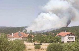 Kütahya’da orman yangını