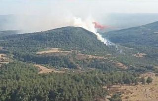 Manisa’da orman yangını