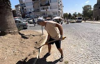 Çevre gönüllüsünden şehre bakım