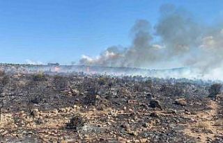 İzmir’de makilik alanda yangın