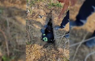 Kanalizasyona düşen keçi kurtarıldı