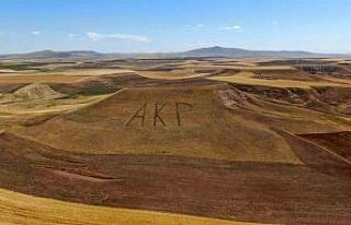 Parti sevgisini dağlara kazıdı