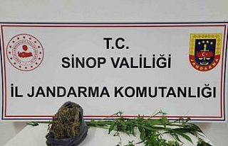 Sinop’ta uyuşturucu operasyonu