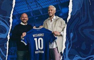 Wout Weghorst, Hoffenheim’da