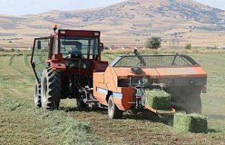 Elazığ’da balyalama  mesaisi başladı