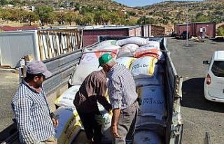 Gölbaşı’nda çiftçilere yem dağıtıldı