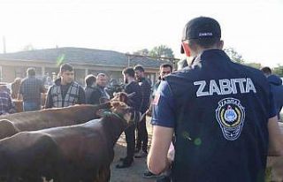 Hayvan pazarından denetimi gerçekleştirildi