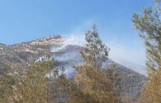 Kahramanmaraş’ta orman yangını