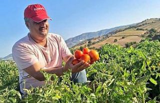 Sarıgöl’de evlerde kış hazırlığı