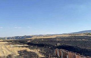 Tunceli’de arazi yangını