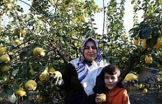 Rusya’nın ayvası Kahramanmaraş’tan