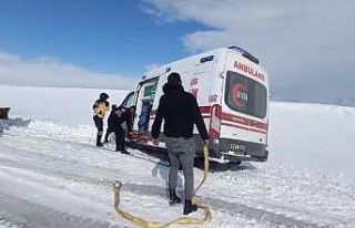 Malazgirt’te ambulans yoldan çıktı