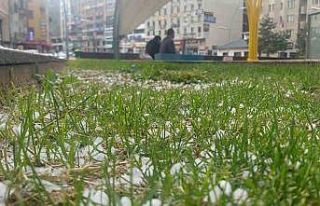 Erzurum’da dolu etkili oldu